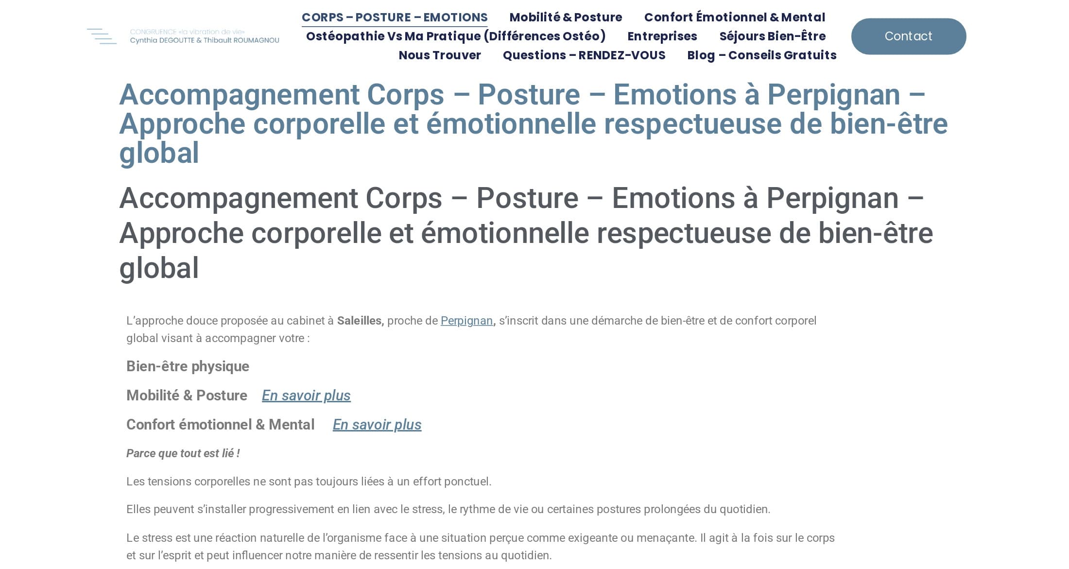 Ancien site WordPress : menu de neuf entrées sur deux lignes, le même titre de 130 caractères répété deux fois en bleu, texte serré