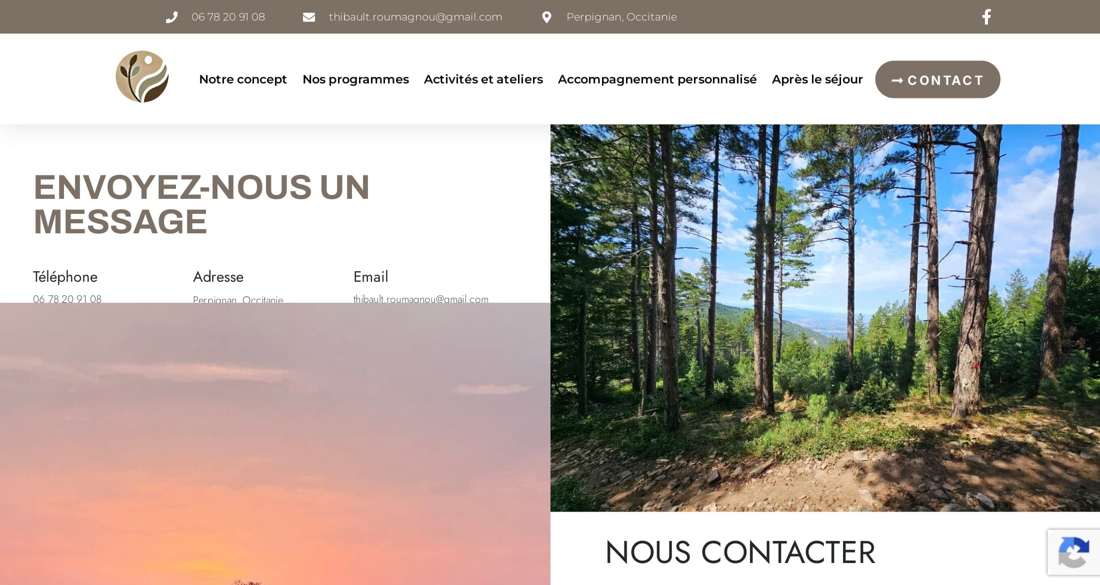 Ancienne page Contact WordPress : titre « Envoyez-nous un message » en capitales, coordonnées minuscules, photos de forêt et de coucher de soleil sans rapport avec le formulaire
