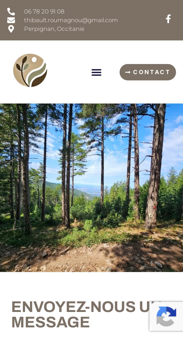 Ancienne page Contact sur mobile : photo de forêt puis titre en capitales coupé par le bord de l’écran